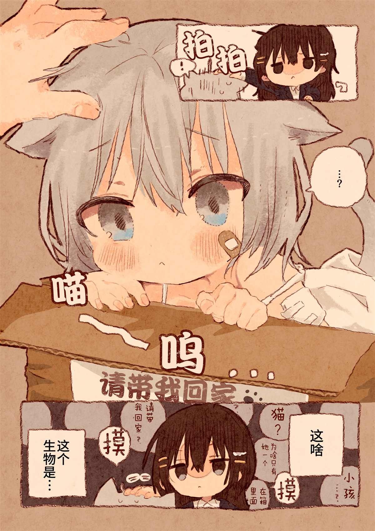 宅OL、拾到猫