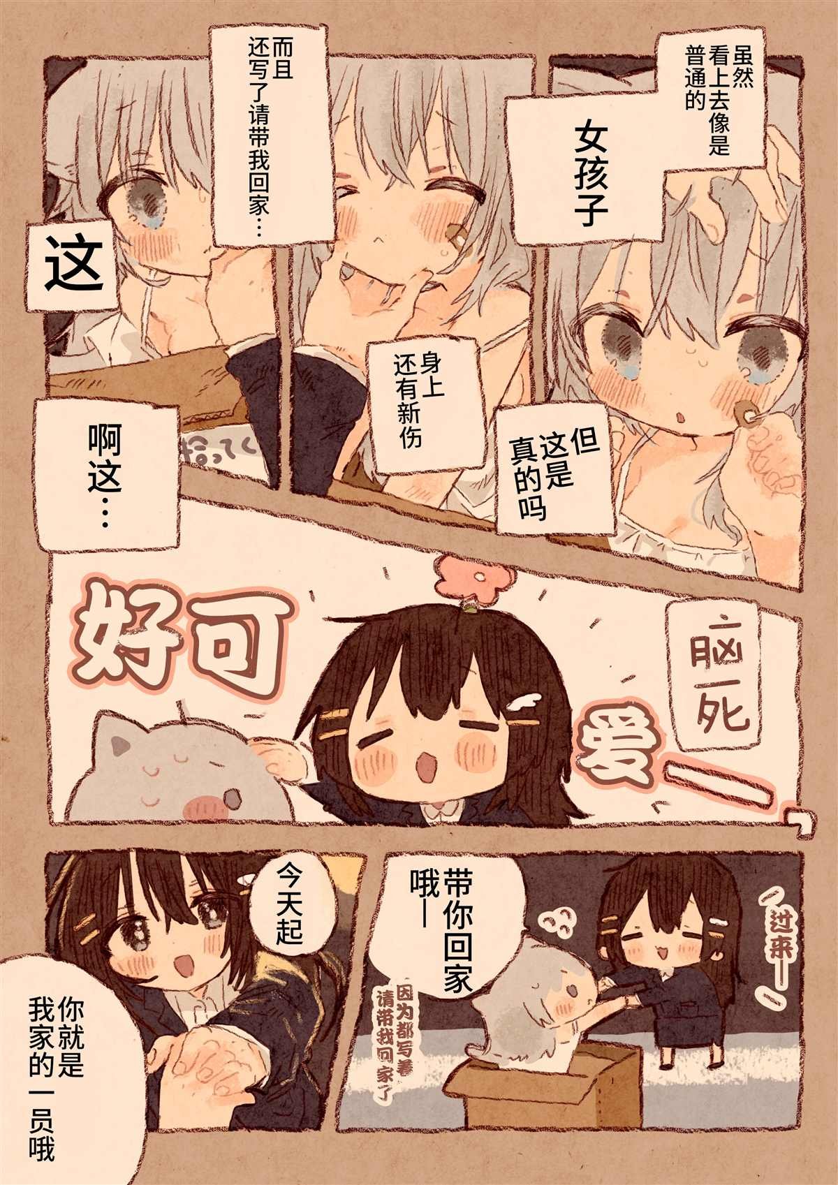 宅OL、拾到猫
