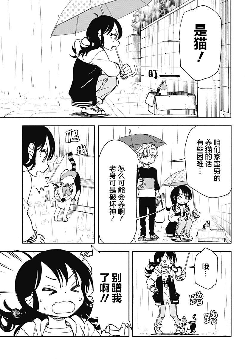 第5话 破坏神、来养猫吧