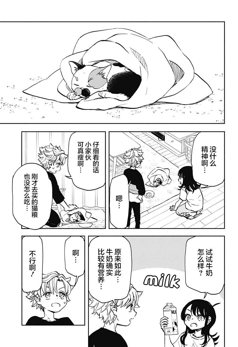 第5话 破坏神、来养猫吧