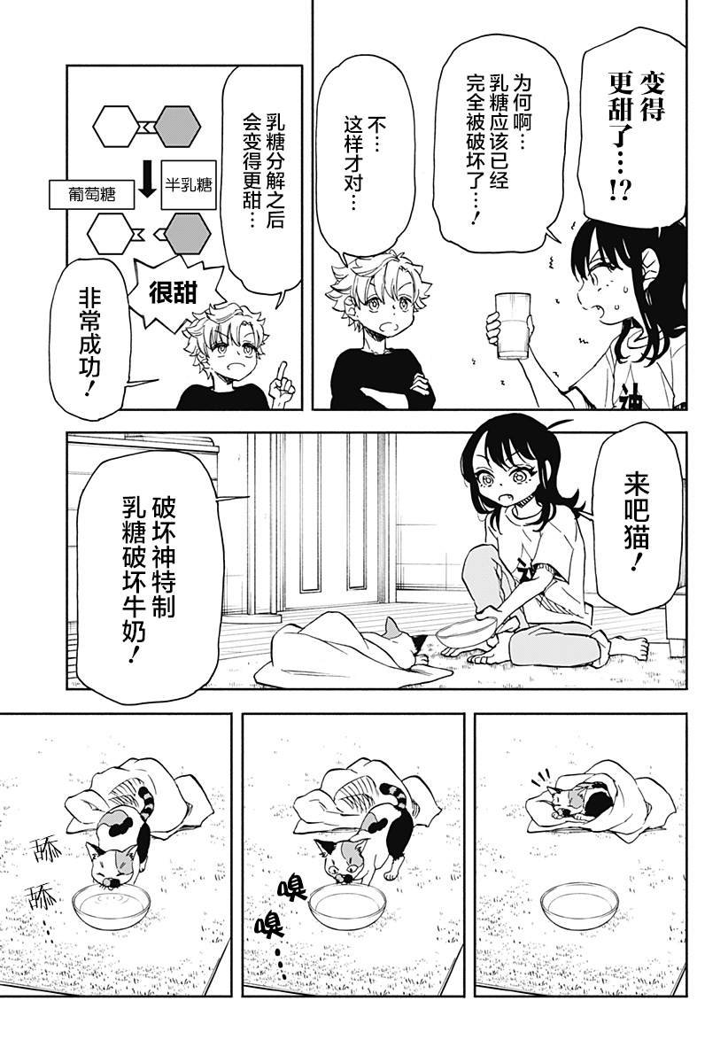 第5话 破坏神、来养猫吧