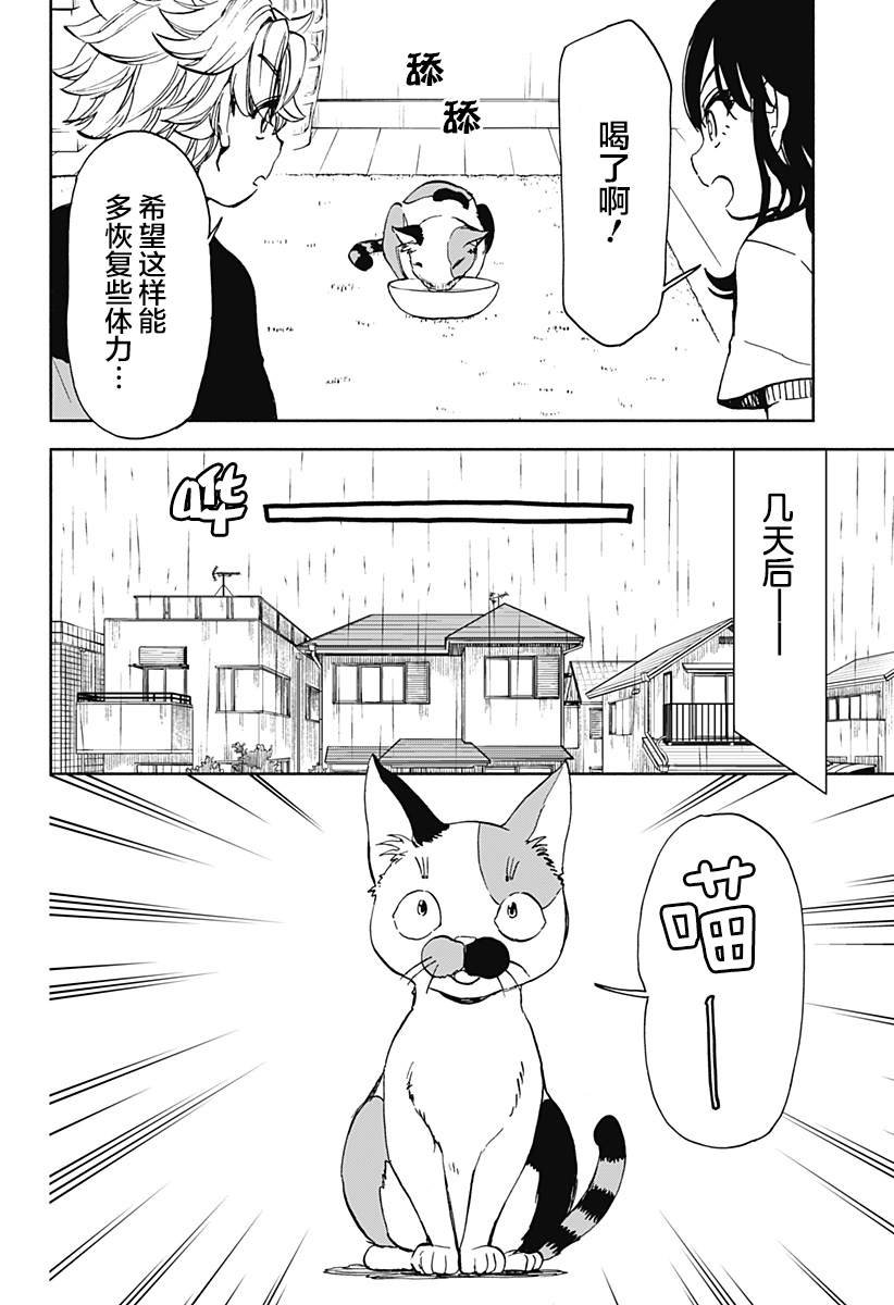第5话 破坏神、来养猫吧