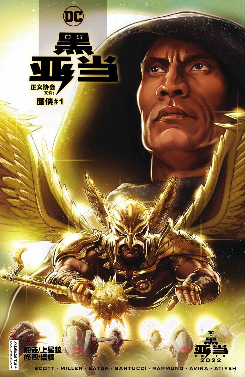 鹰侠