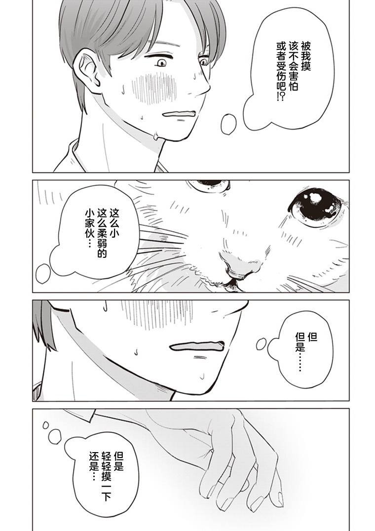 第4.5话