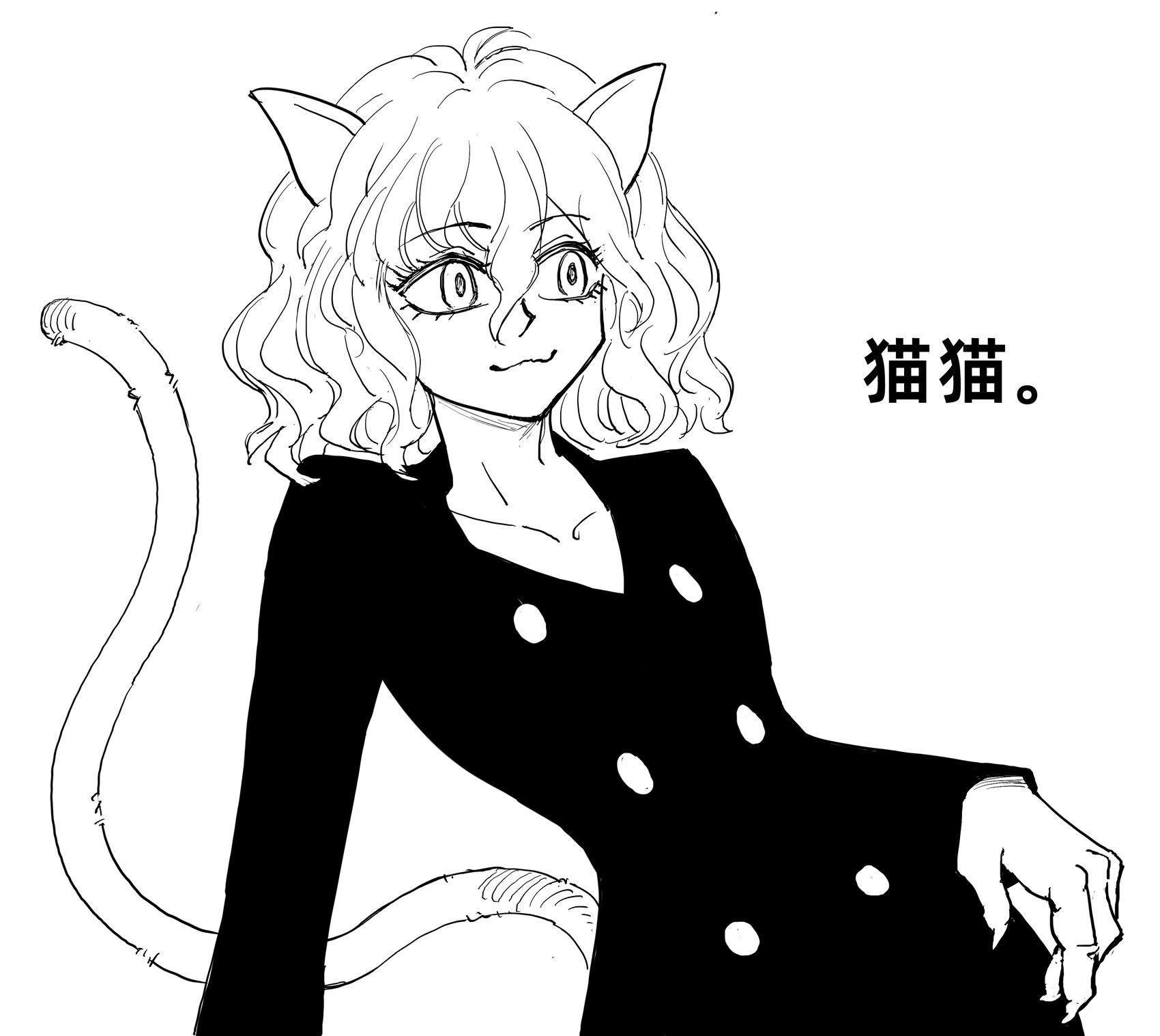 《全职猎人》尼飞比特