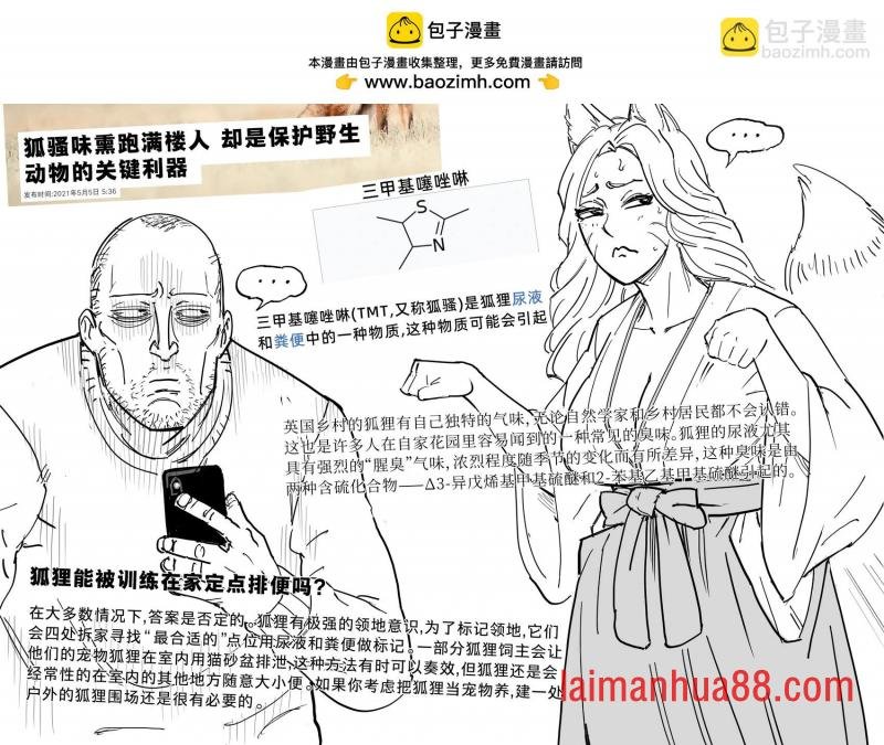 狐娘的大毛尾巴虽好，但不适合当女友（或宠物）