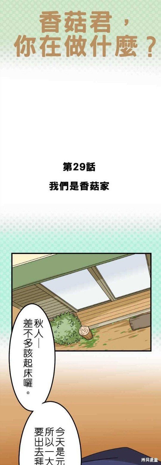 第29话