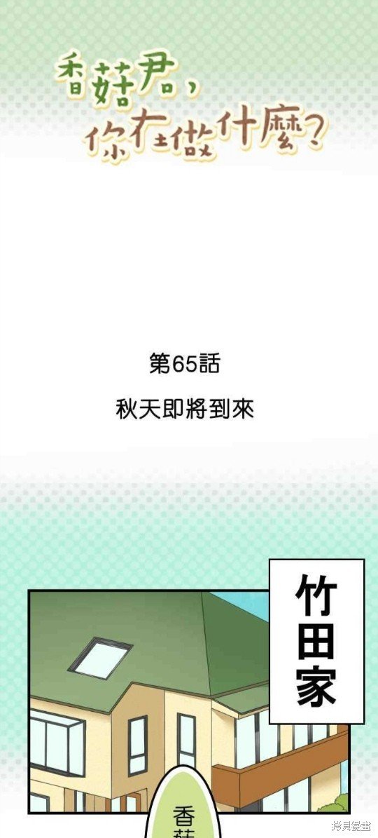 第65话