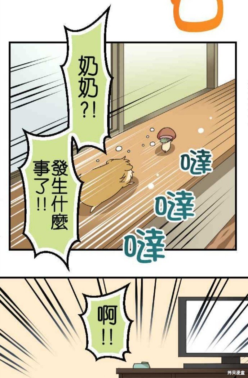 第66话