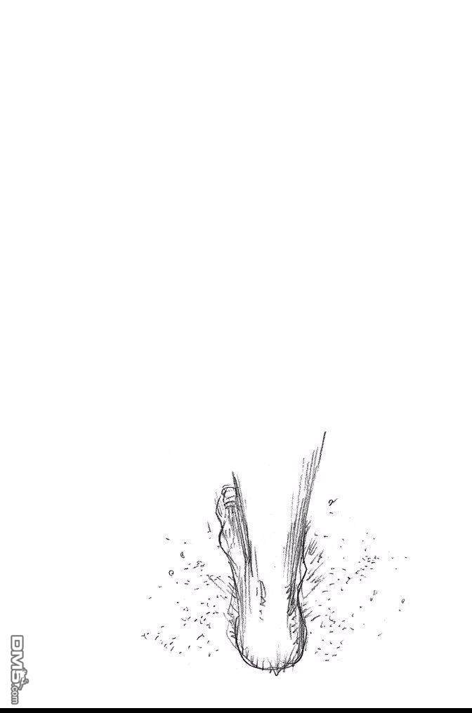 第74卷