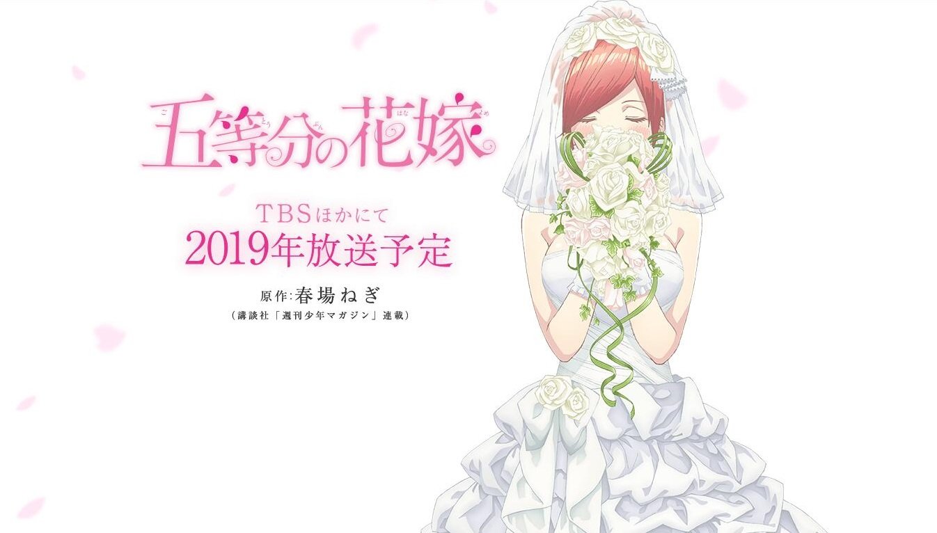 动画化