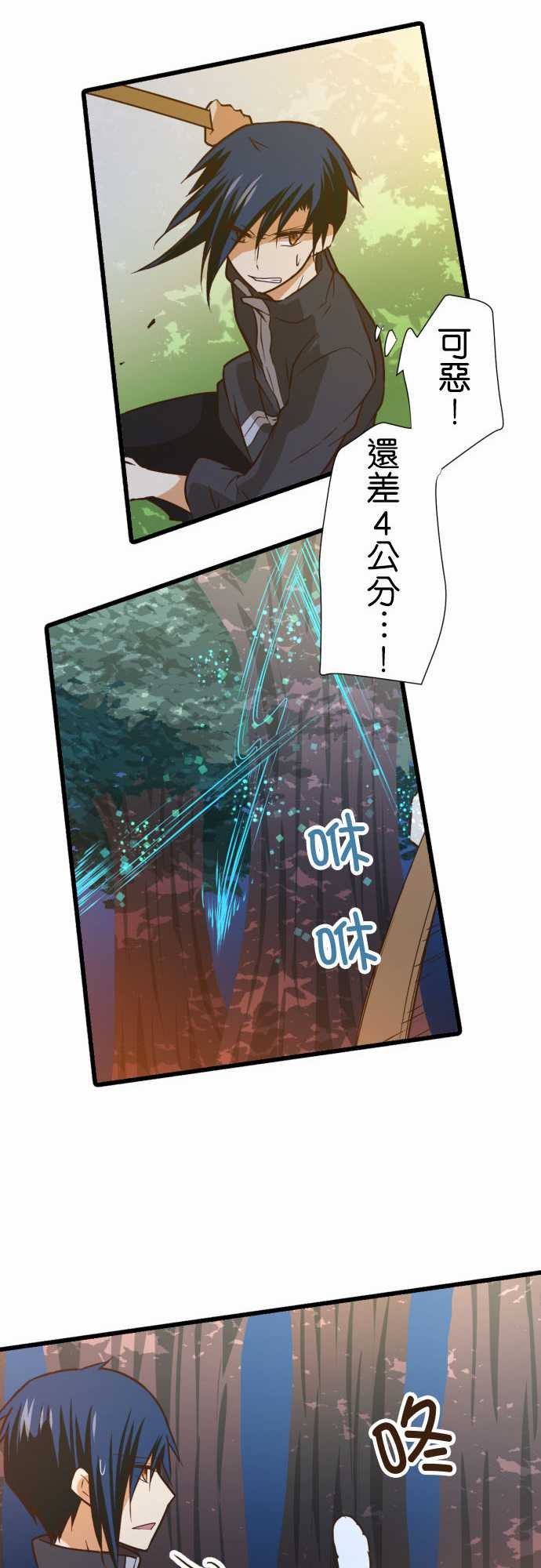 第204话