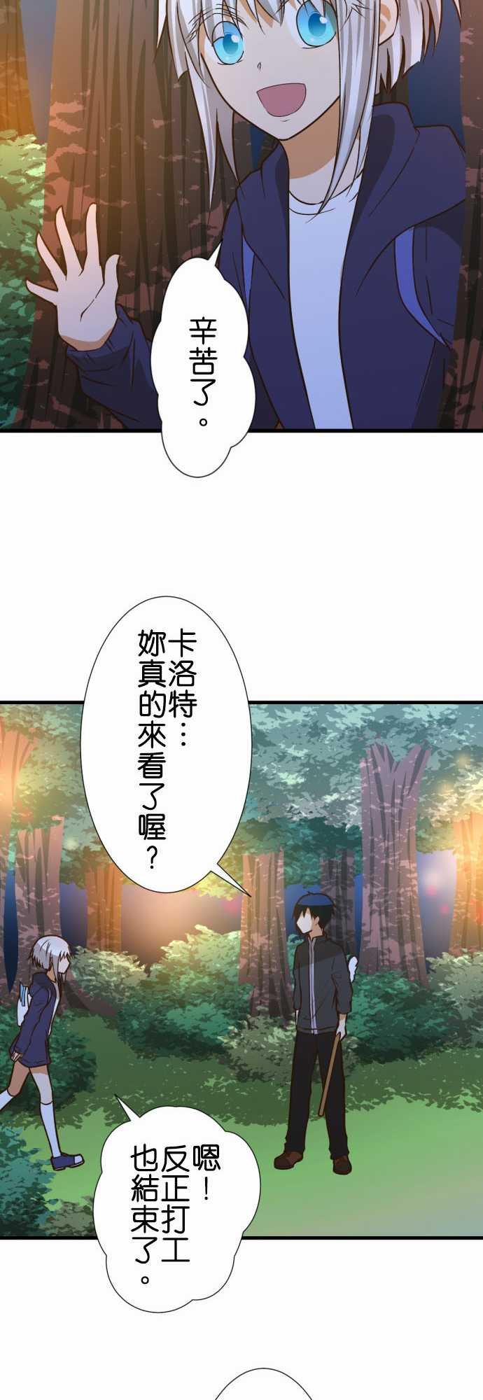 第204话