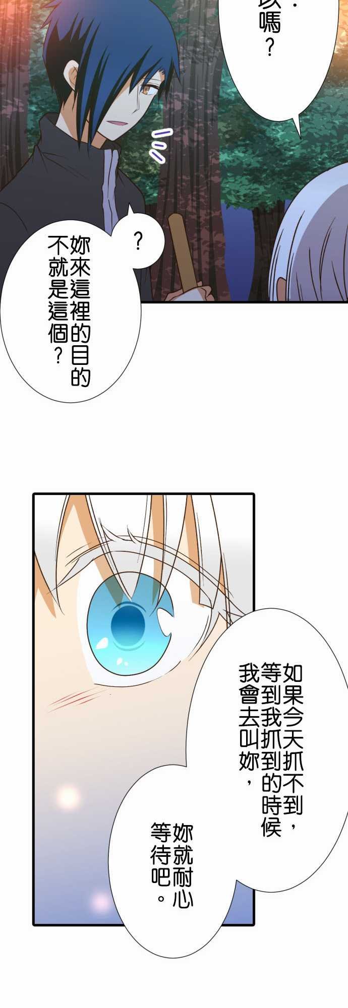 第204话