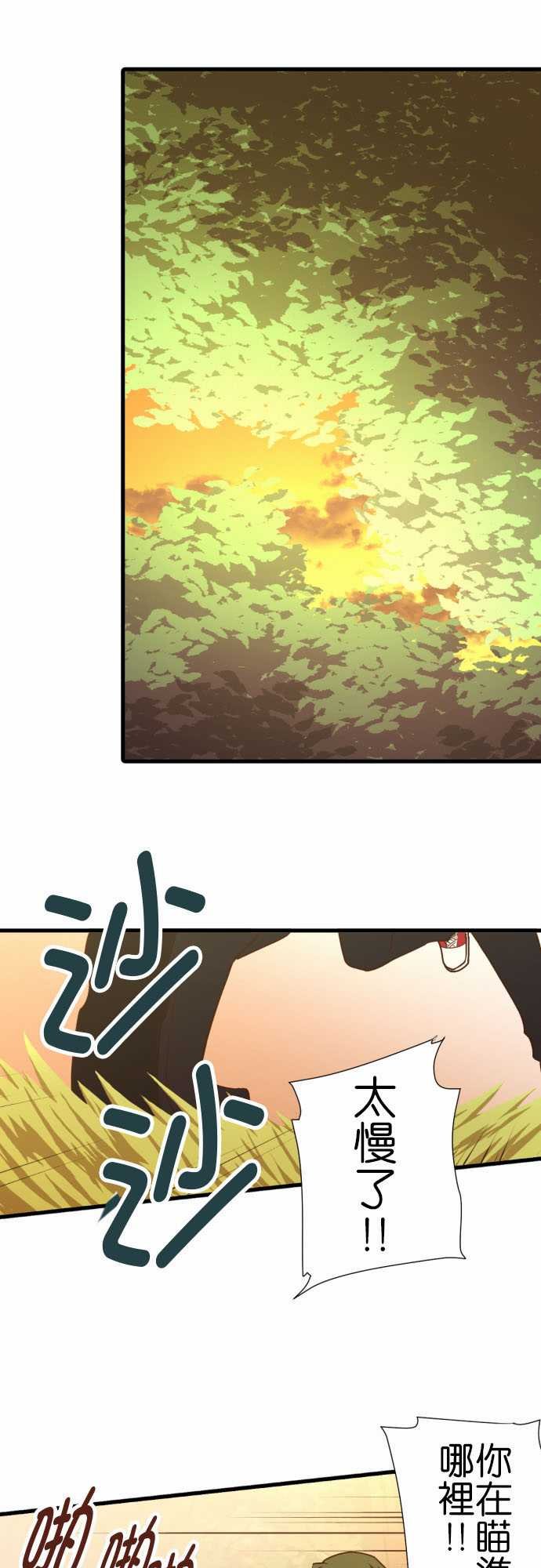 第211话
