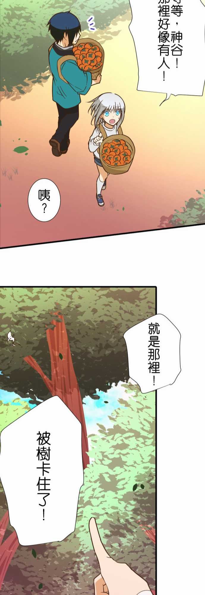 第215话