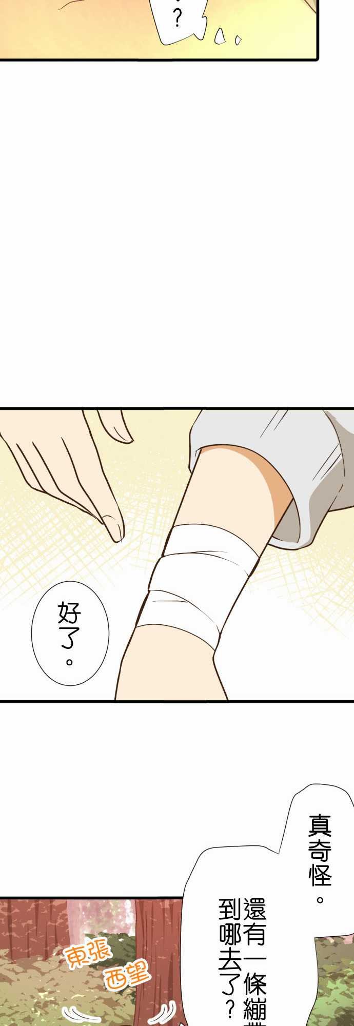 第216话