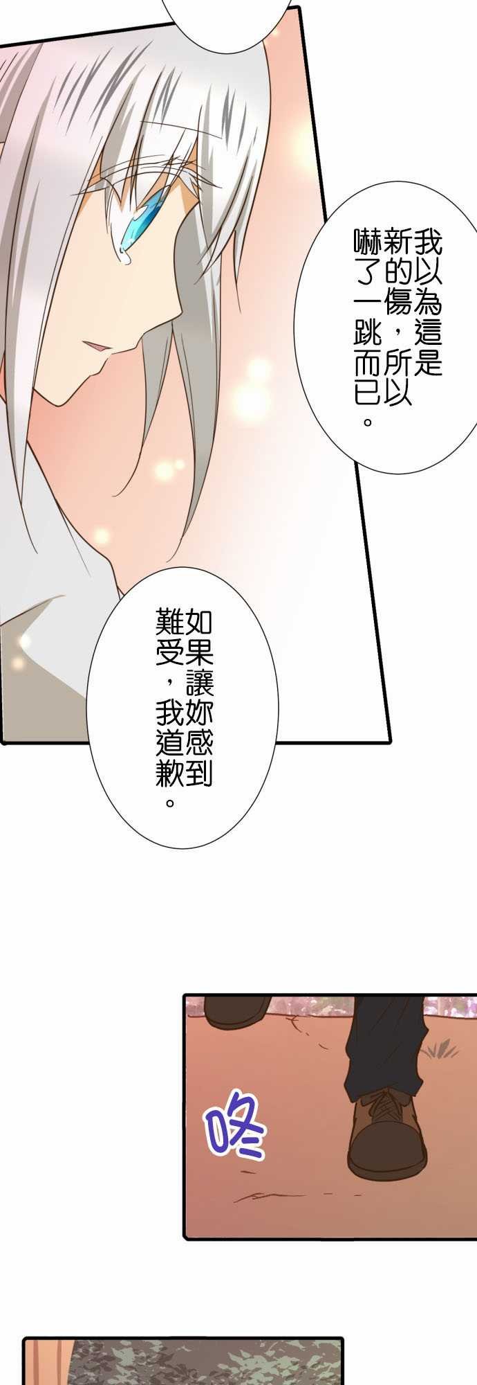 第217话