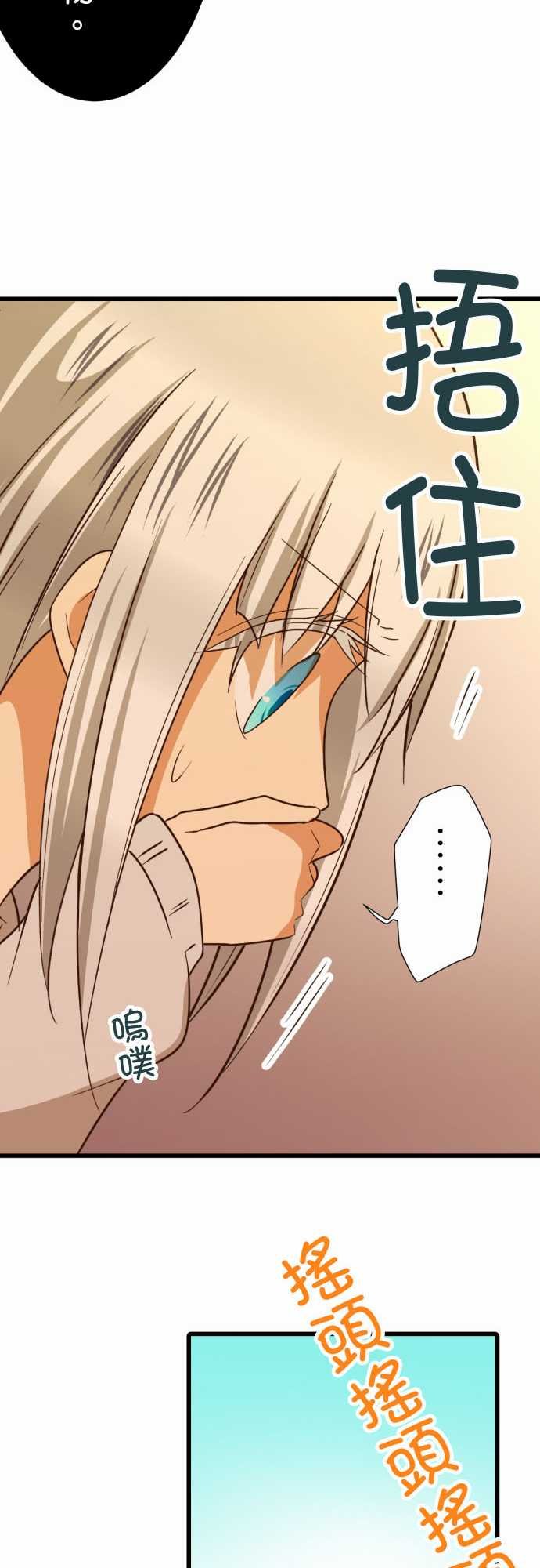 第217话