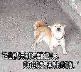 周刊28话