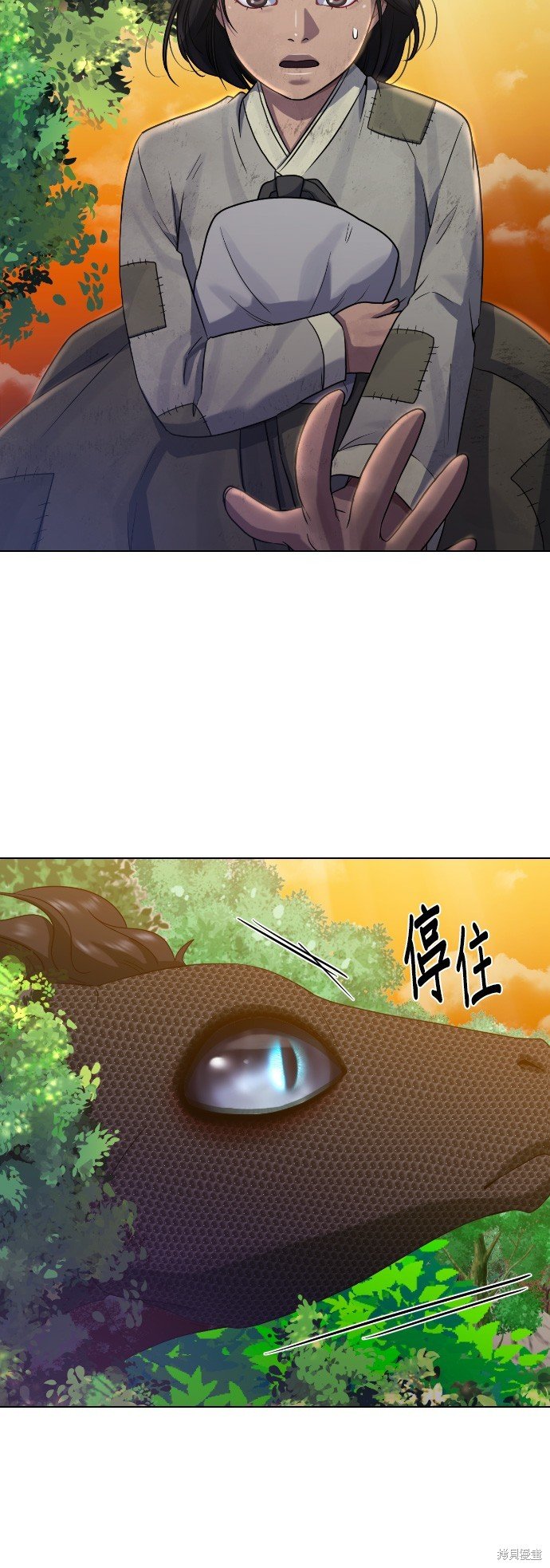 第80话