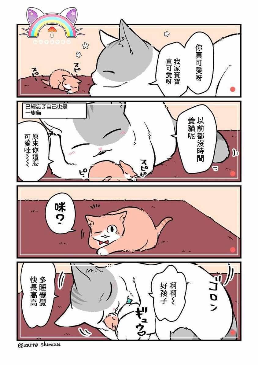 变成猫之后 番外04