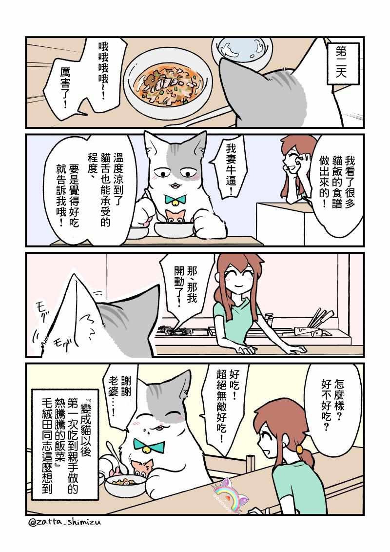 变成猫之后 番外07