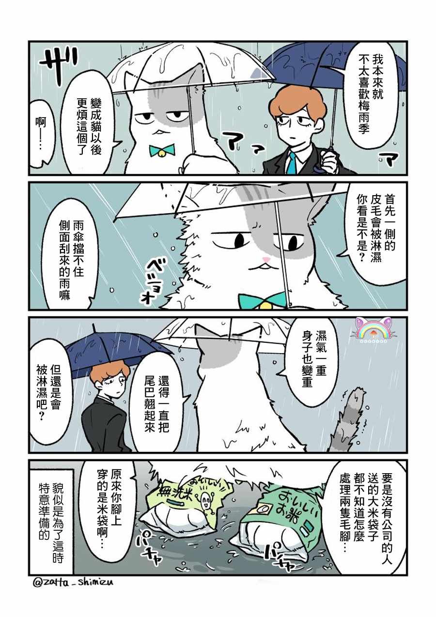 变成猫之后 番外08