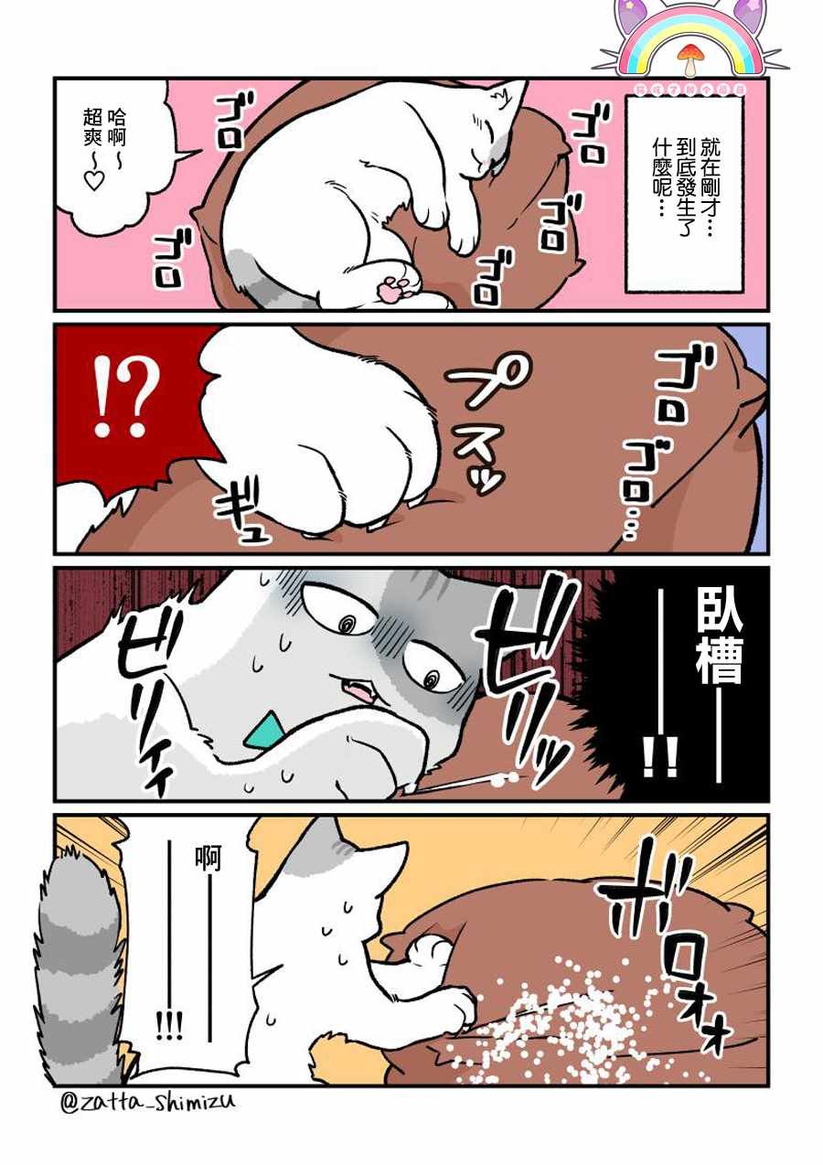 变成猫之后 番外09