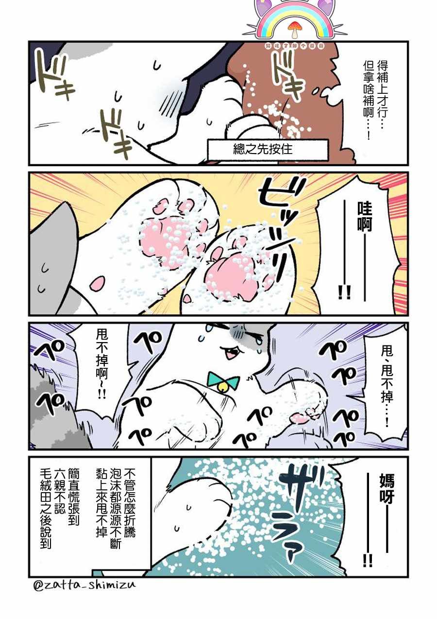变成猫之后 番外09