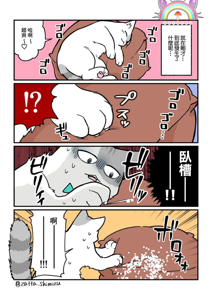 变成猫之后 番外10