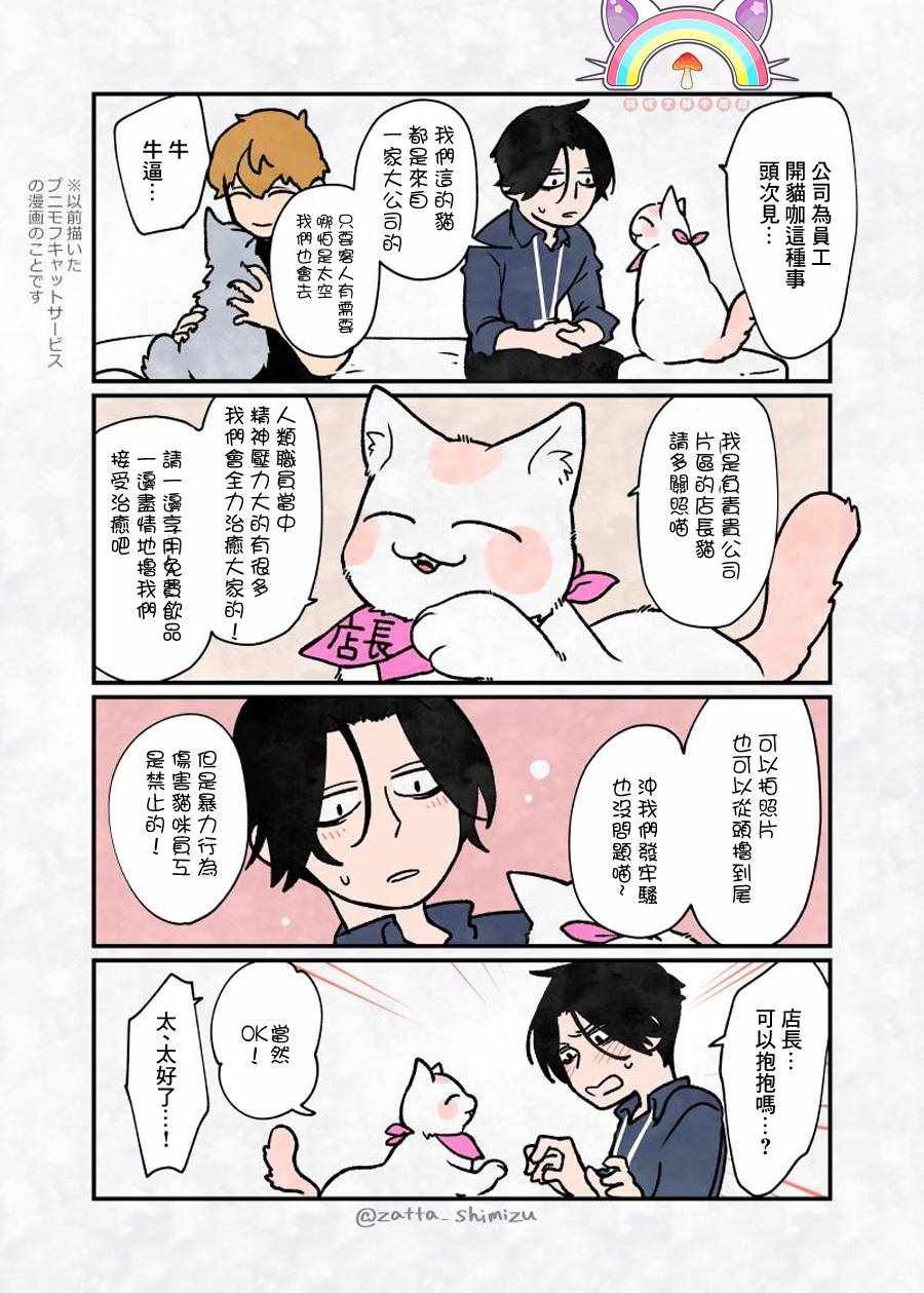 变成猫之后 番外11
