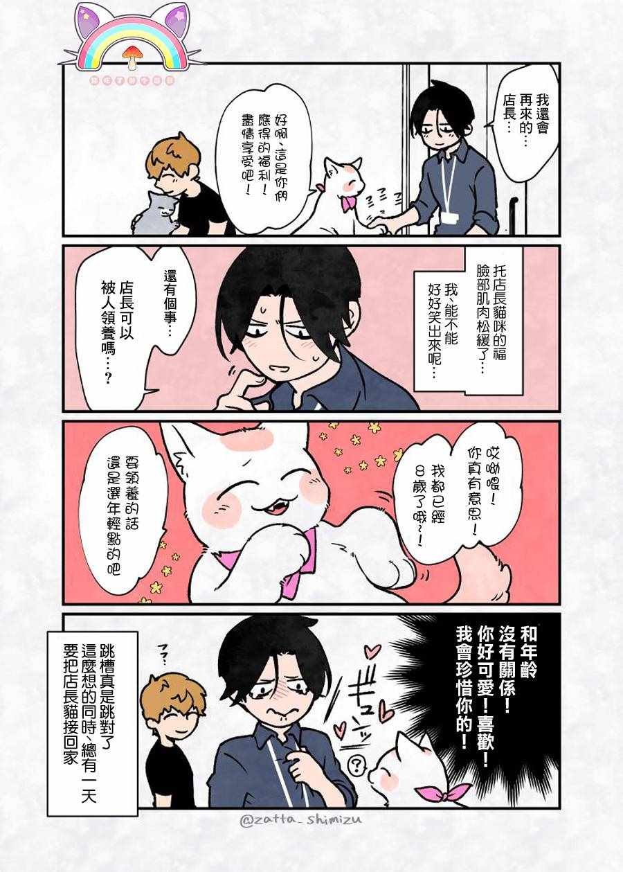 变成猫之后 番外11