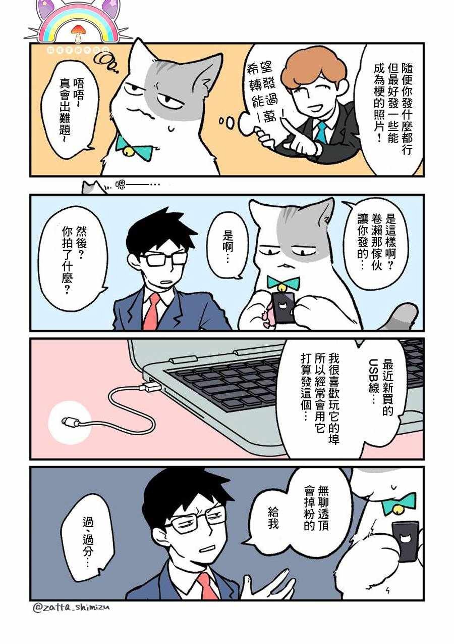 变成猫之后 番外12