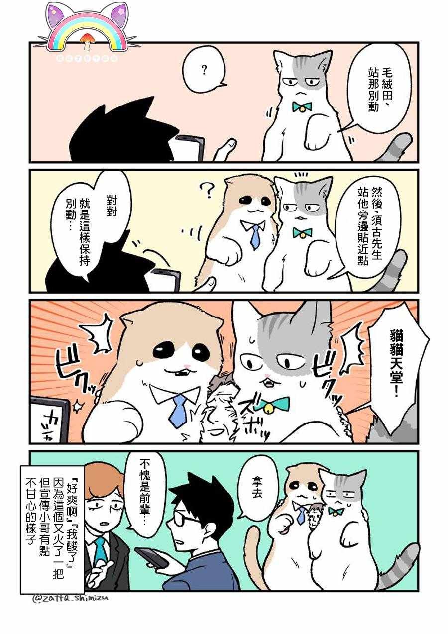 变成猫之后 番外12