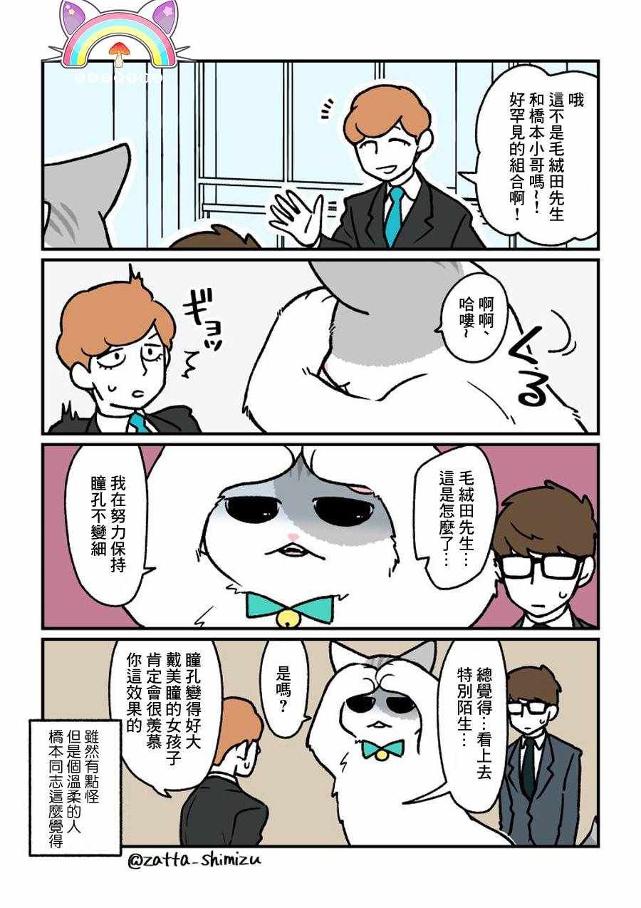 变成猫之后 番外13