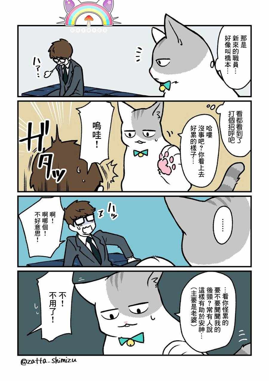 变成猫之后 番外13