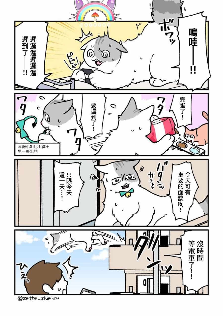 变成猫之后 番外14