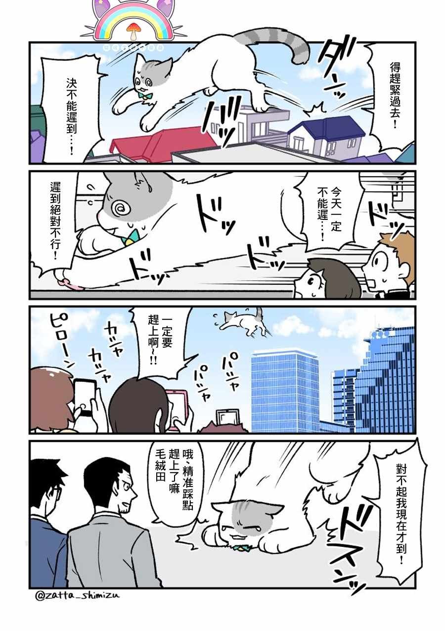 变成猫之后 番外14