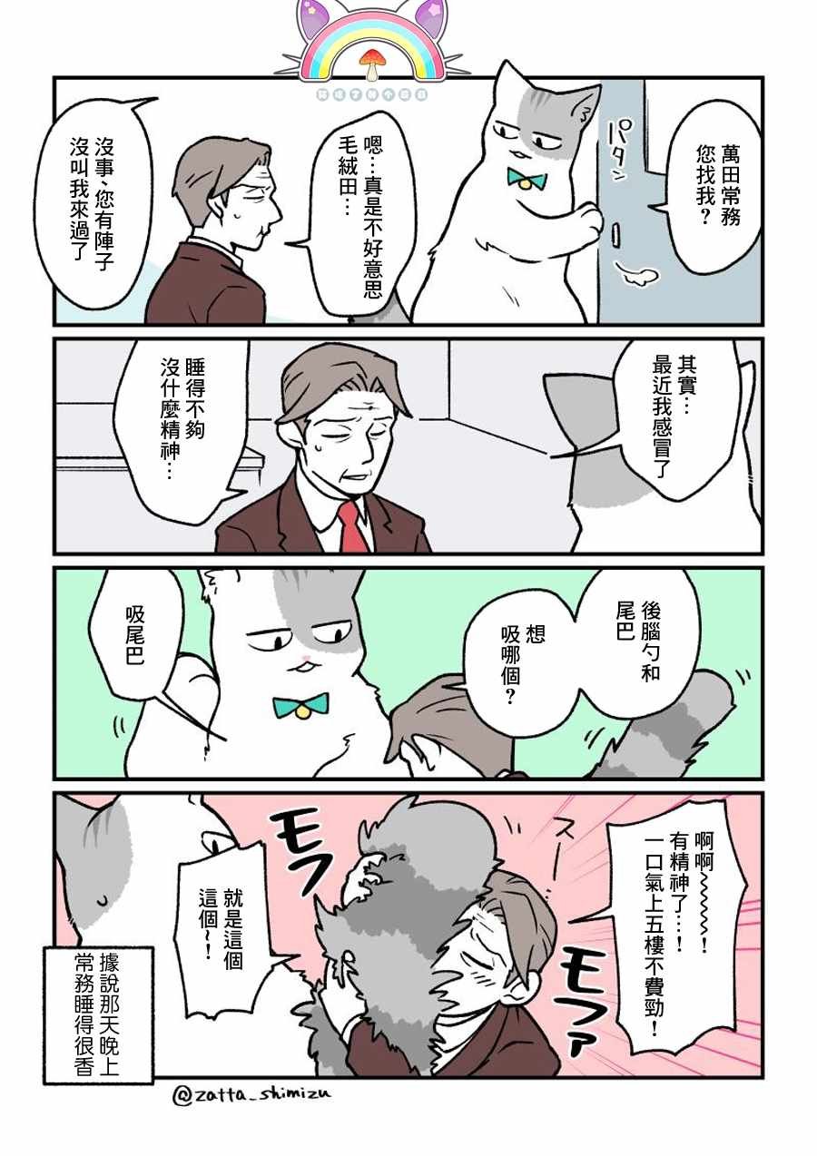 变成猫之后 番外14