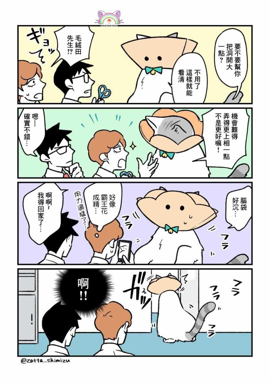 变成猫之后 番外15
