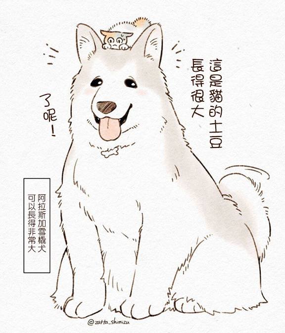 作者自创 猫与狗