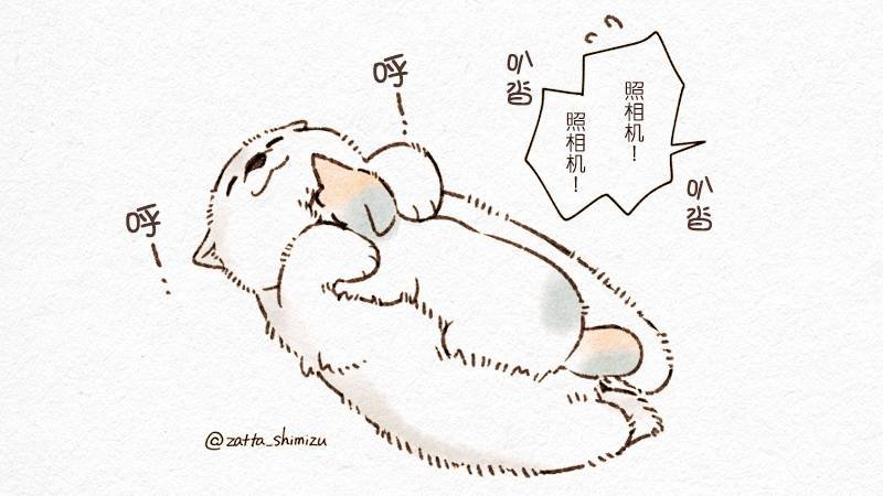 作者自创 猫与狗