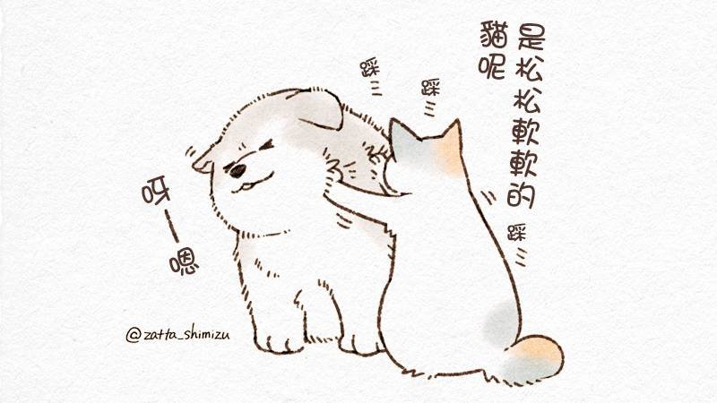 作者自创 猫与狗