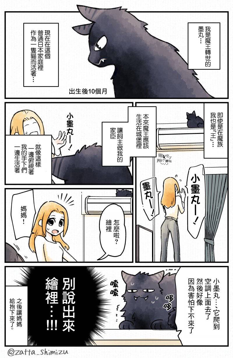 作者自创 恶魔转生为猫