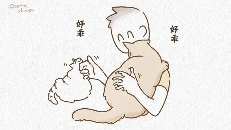 作者自创 夏日一杯猫