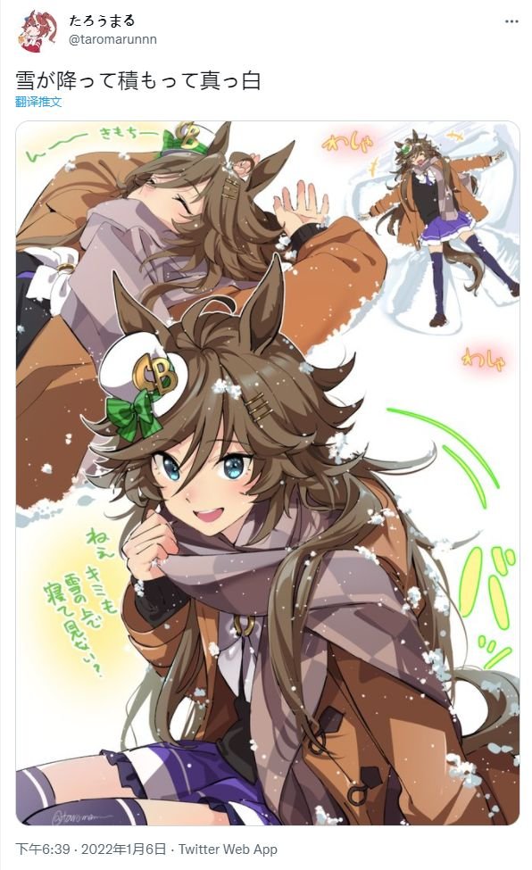 落雪积雪真白雪