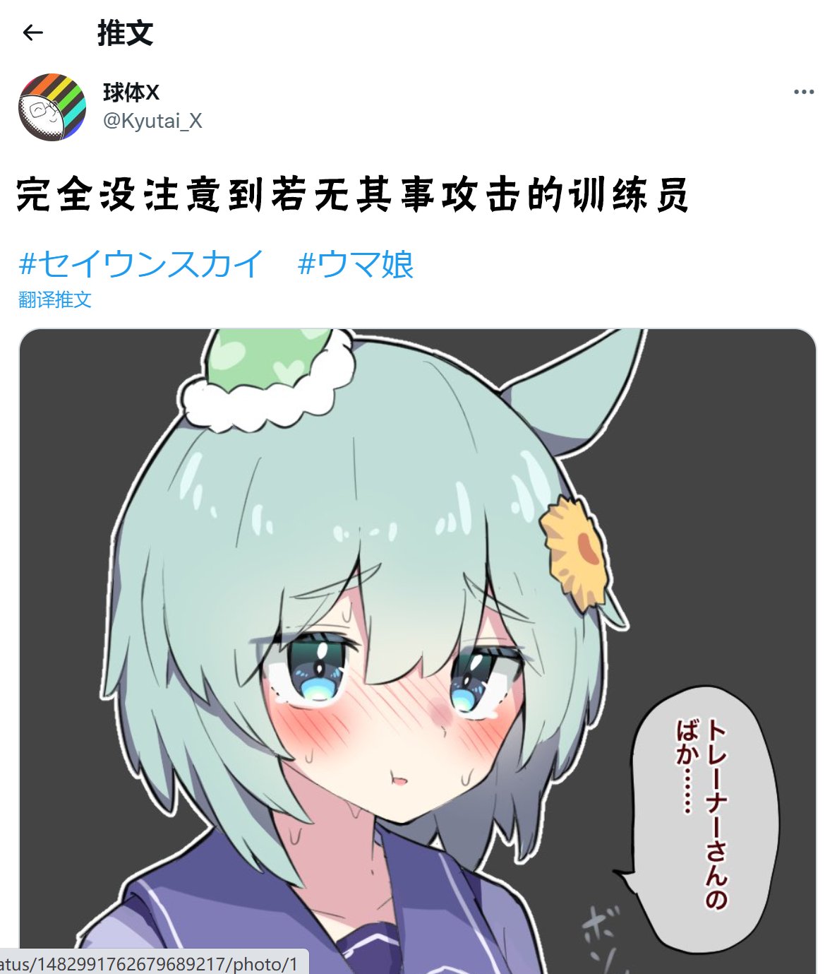 大木头训练员