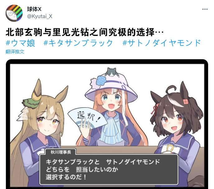 究极的选择