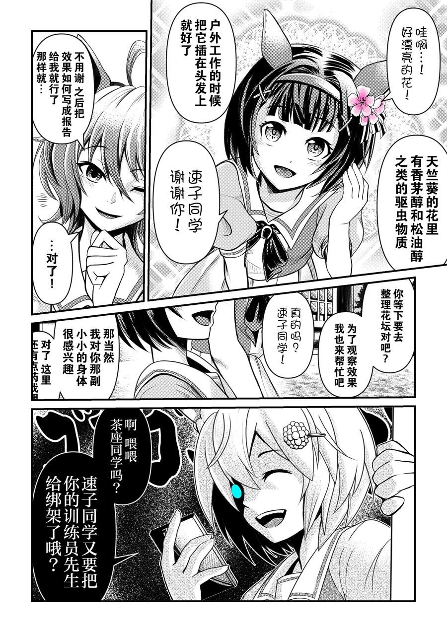 速子与花